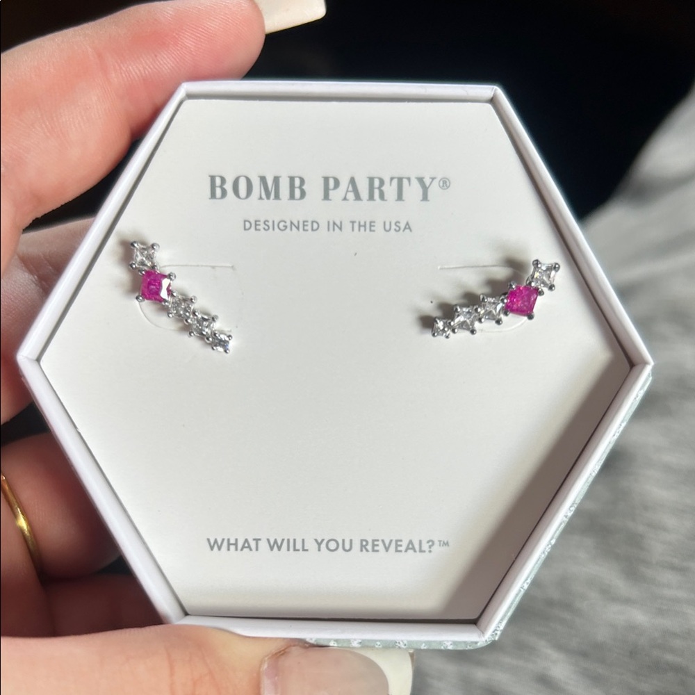Silver and Pink Earrings